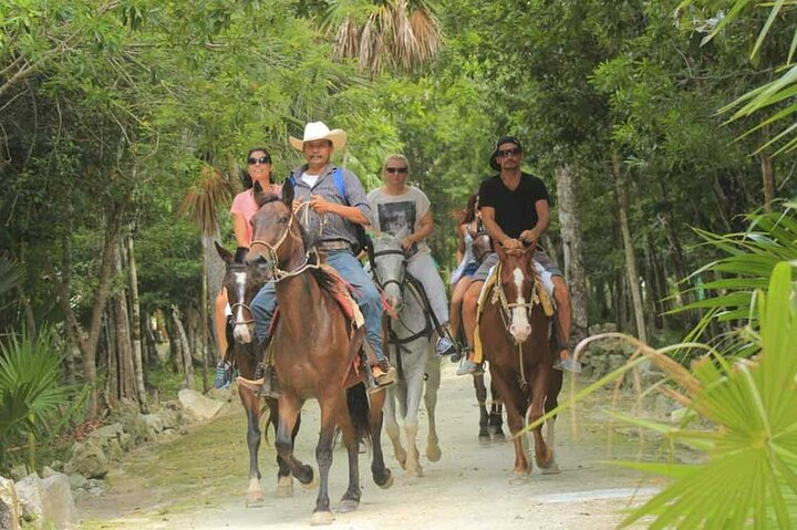 Horse Riding Activity in Miami - Photo 1 of 2